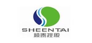 顺泰控股